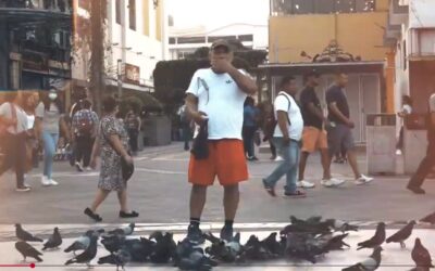 García en la vieja plaza