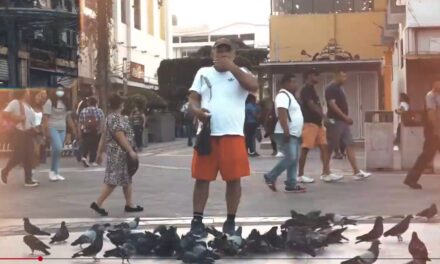 García en la vieja plaza