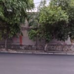 LA CURVA DEL ALMA: DONDE MUERE EL DISCURSO Y NACE EL CARÁCTER
