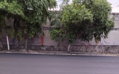 LA CURVA DEL ALMA: DONDE MUERE EL DISCURSO Y NACE EL CARÁCTER