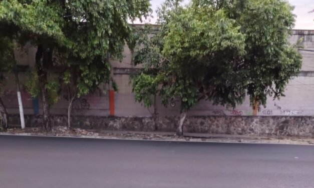 LA CURVA DEL ALMA: DONDE MUERE EL DISCURSO Y NACE EL CARÁCTER