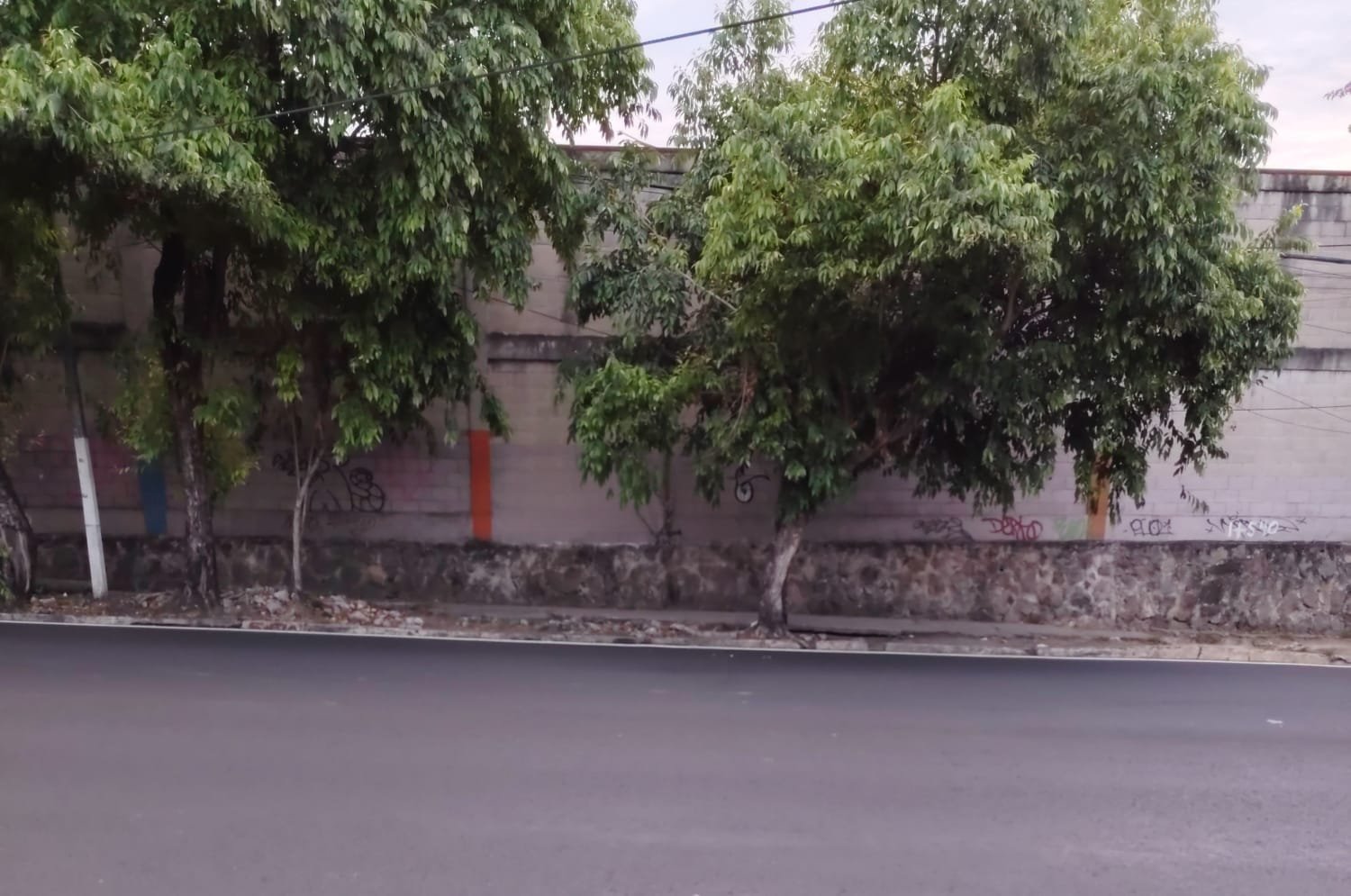 LA CURVA DEL ALMA: DONDE MUERE EL DISCURSO Y NACE EL CARÁCTER